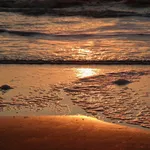 blaty granitowe Golden_Sand