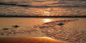 Golden_Sand