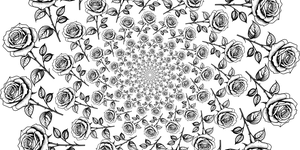 Rosa_Miele