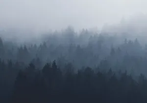 noble_olympos_mist