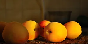 Giallo_New_Veneziano